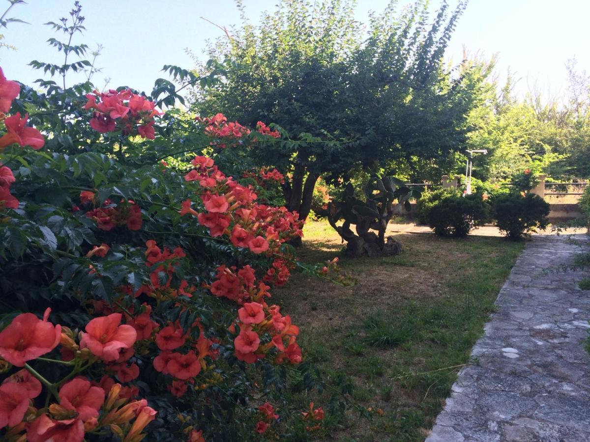 Villa-toula Apartment