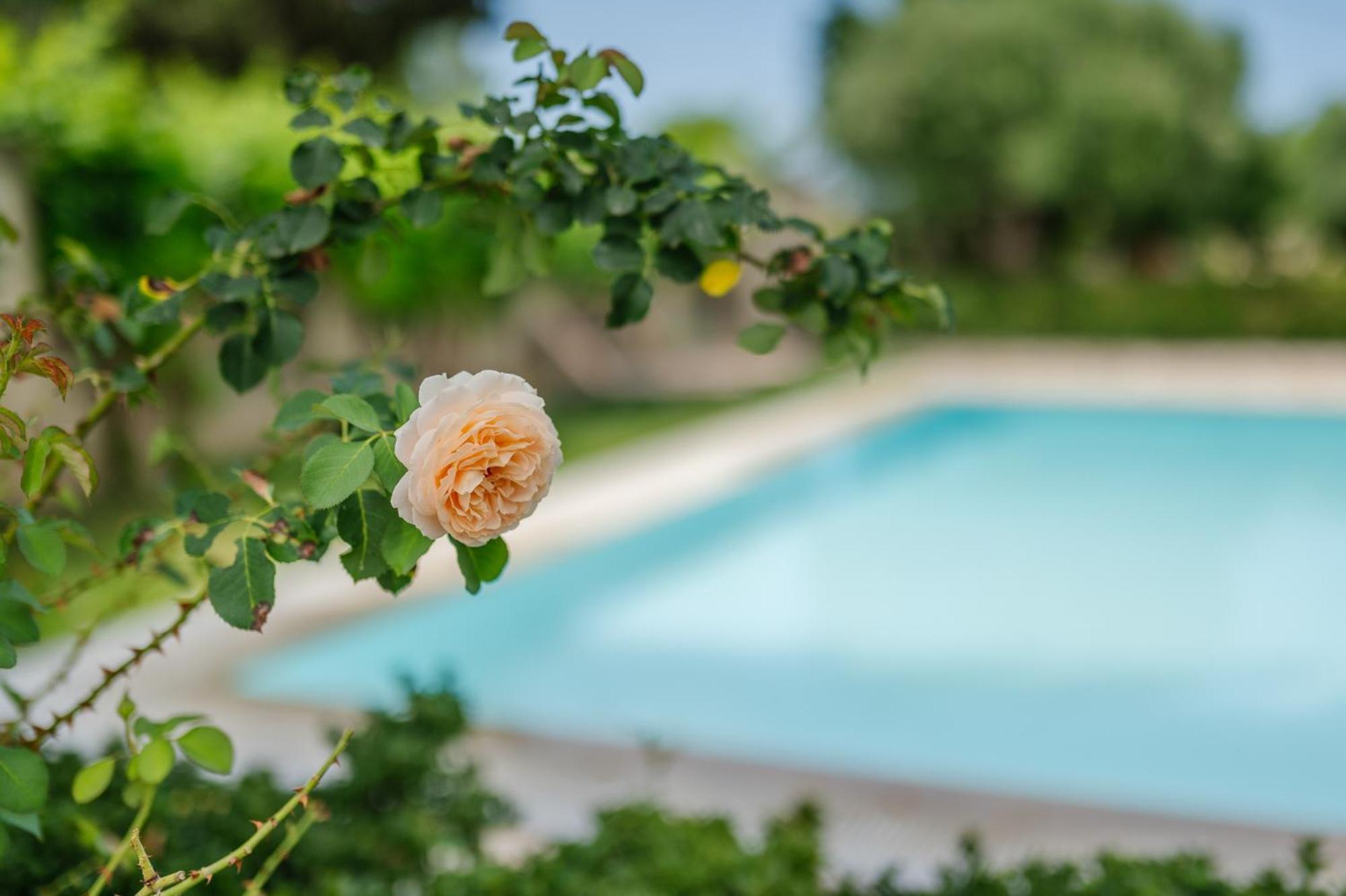Villa-toula *